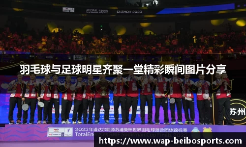 羽毛球与足球明星齐聚一堂精彩瞬间图片分享